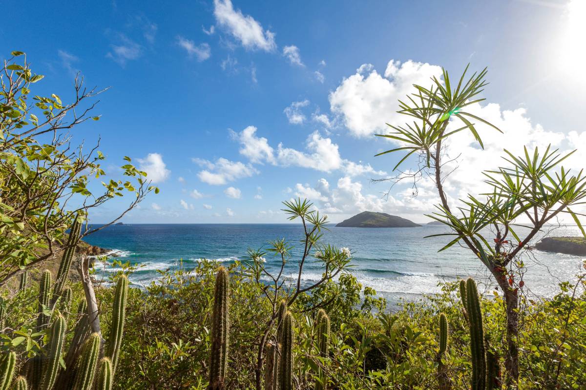 Devrais-je investir dans une location de vacances à Saint-Barthélemy ?