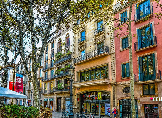 International real estate Spain