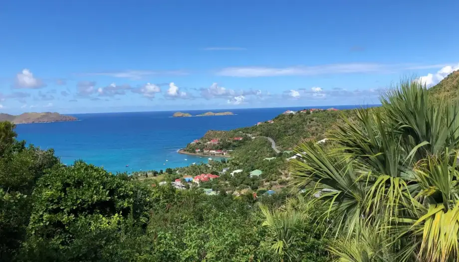 Villa Lataniers - picture 5