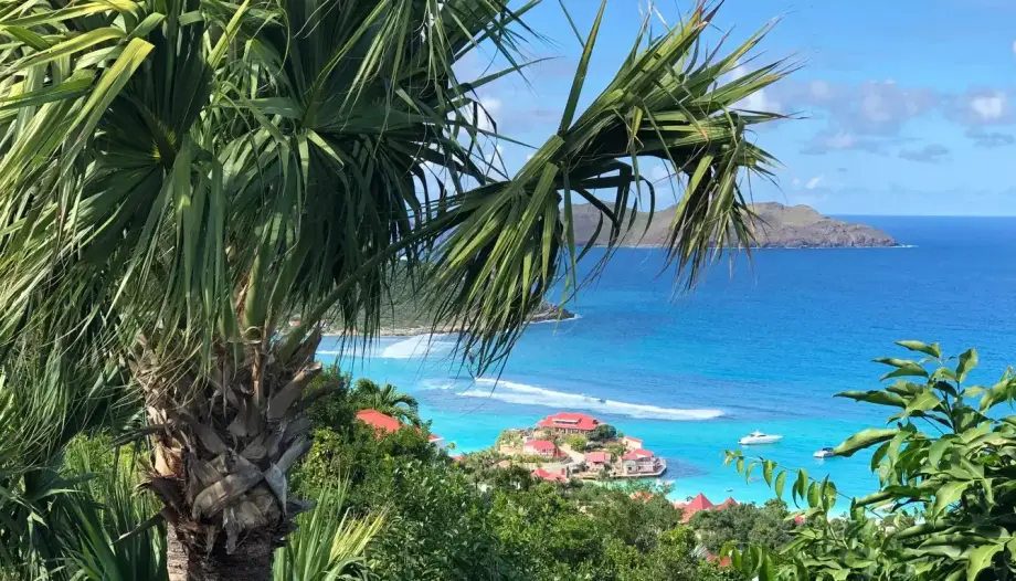 Villa Lataniers - picture 3