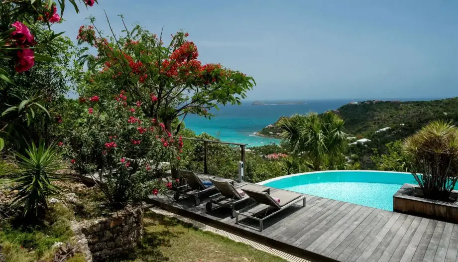 Villa Lataniers - picture 1