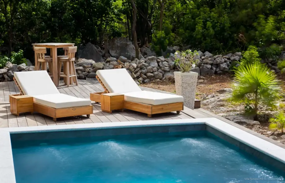 Villa Tamarin - picture 4