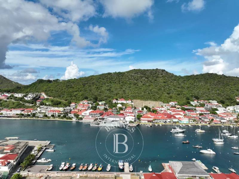 Real estate Saint Barthélemy 35 properties for sale in St Barts