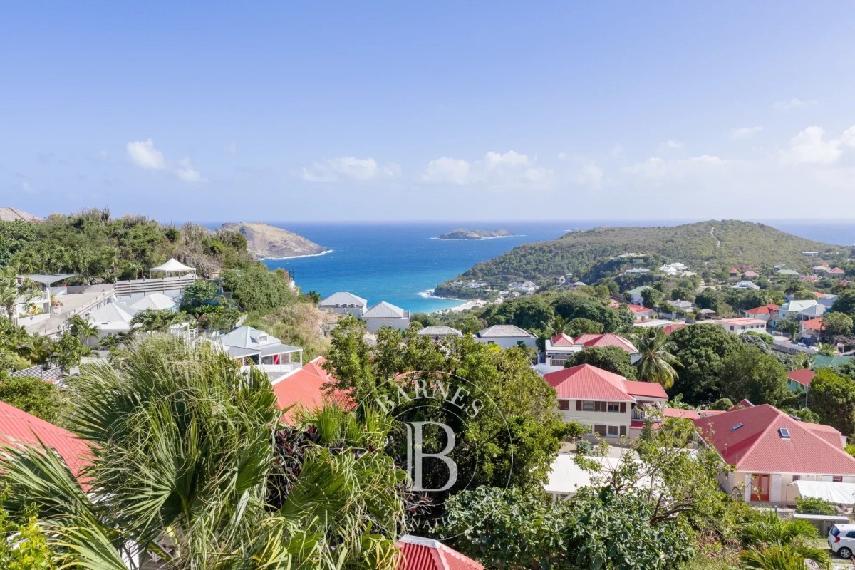 Villa in Colombier - picture 2