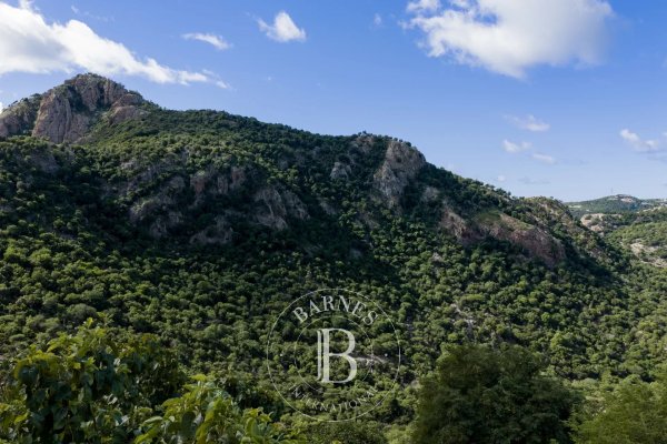 Buildable land in Saline - picture 3