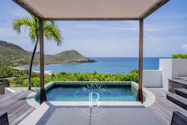 Villa à Toiny - picture 2