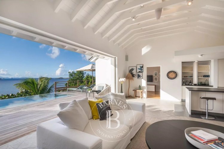 Villa in Pointe Milou - picture 1