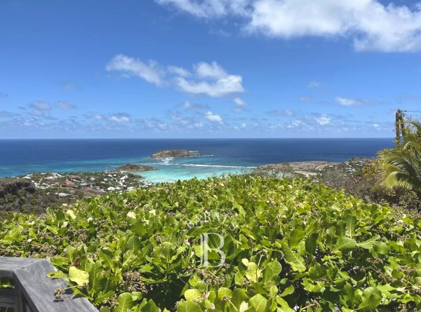 Charming villa in St-Barth - picture 2