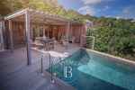 1-Bedroom Villa in St.Barths - picture 5